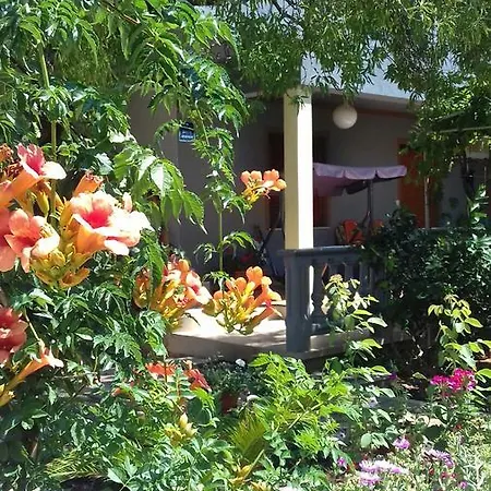 Apartman Bojana Apartmán *